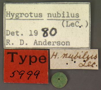 Media type: image;   Entomology 5999 Aspect: labels